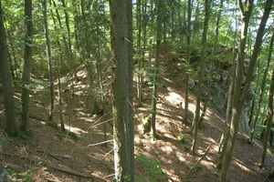 Burgstall Saufelsen
