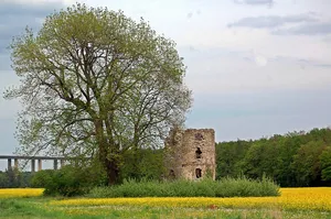 Niederburg