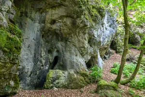 Dolomitfelsgruppe Kirchengrotten SW von Engelhardsberg