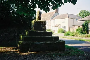 Medieval standing cross 50m east of St Peter's Church