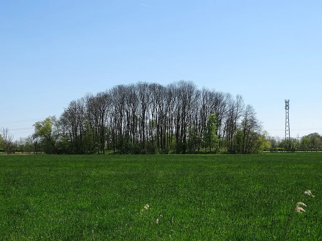 Landschaftsschutzgebiet Mönkeburger Busch bei Fedderwarden