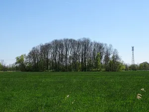 Mönkeburger Busch