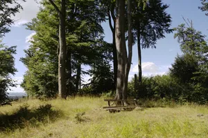 Landschaftsschutzgebiet Eisenberg bei Schlitz