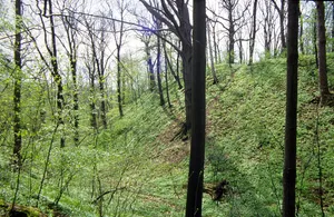 Burg Langenberg