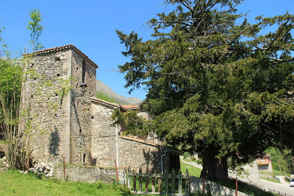 Field of church of San Pablo de Arangas. Church and yew tree.
