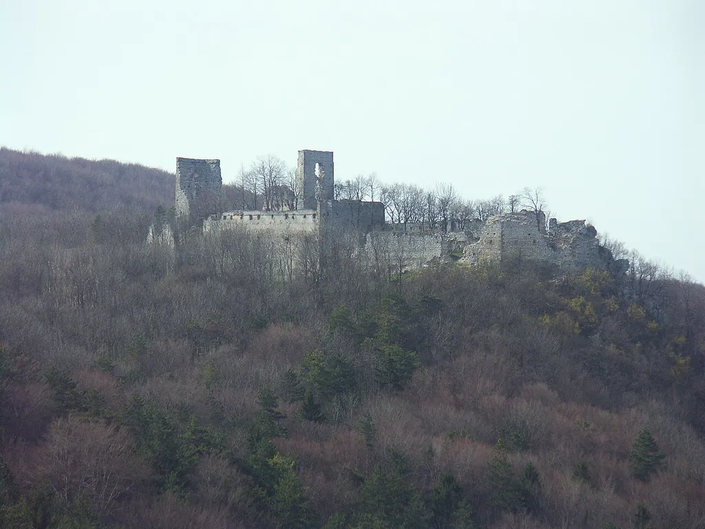 Dobrá Voda Castle