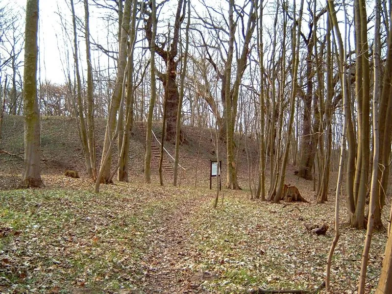 Blick zum Burgwall
