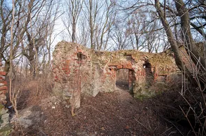 Castle in Jelcz-Laskowice
