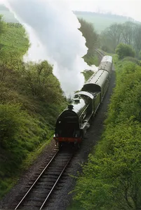 Doulting Railway Cutting