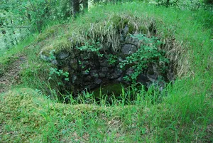 Iburg