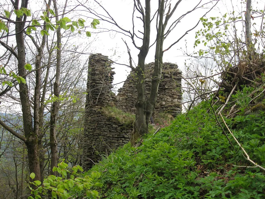 Castle (ruin) Starý Herštejn
