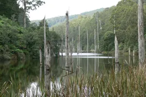 Great Otway National Park