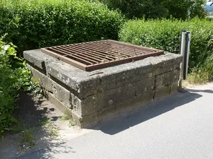 Burg