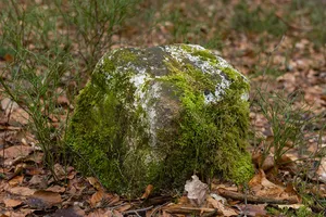 Grenzstein Fürther Stadtwald in Zirndorf