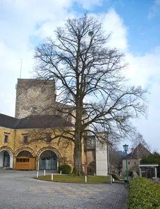 Burglinde in Bad Kreuzen