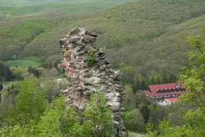 Buják Castle