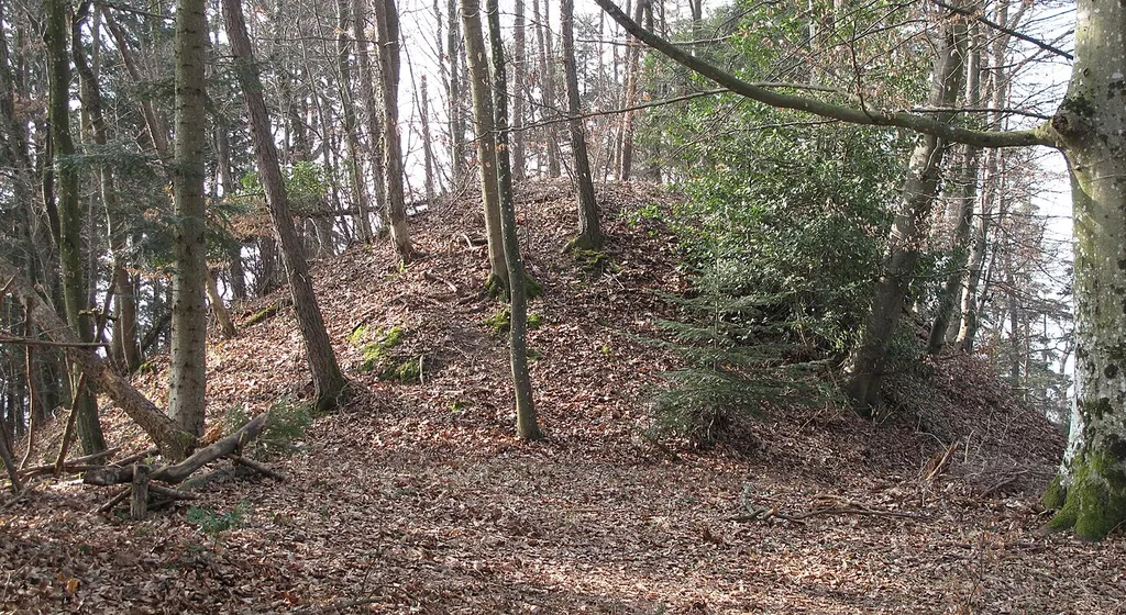 Burgstelle von Südosten.