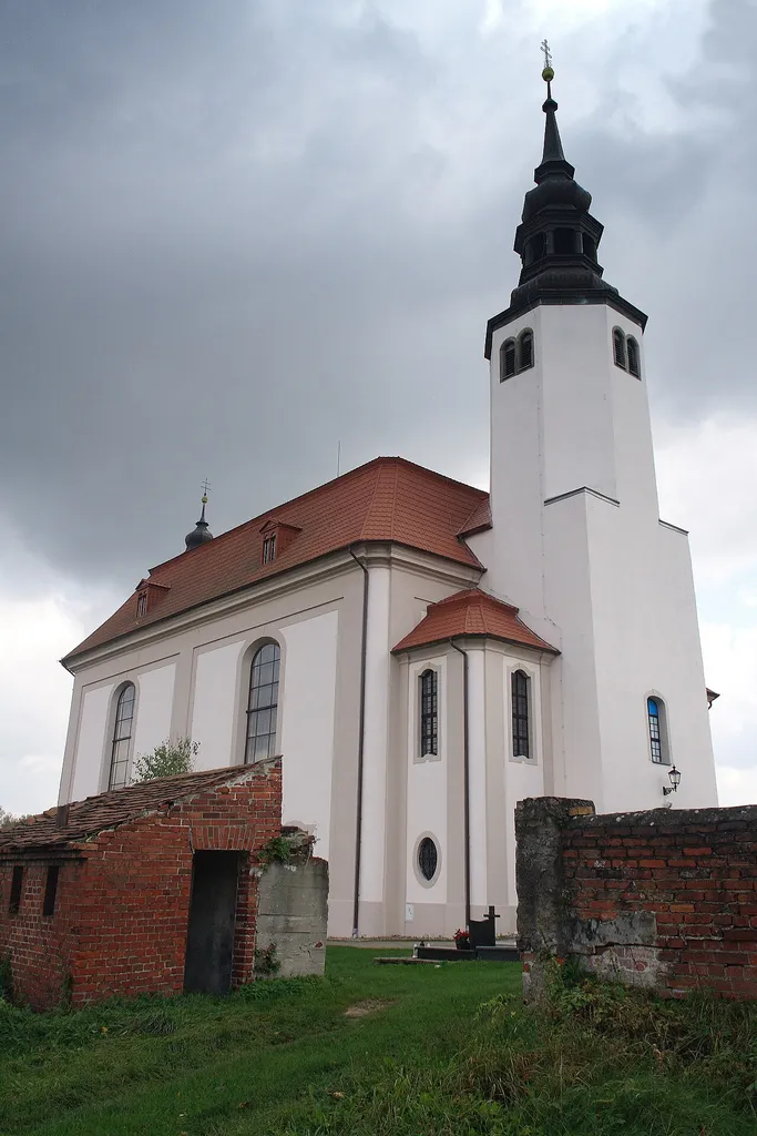 Działoszyn - kościół św. Bartłomieja, XVI, XVIII