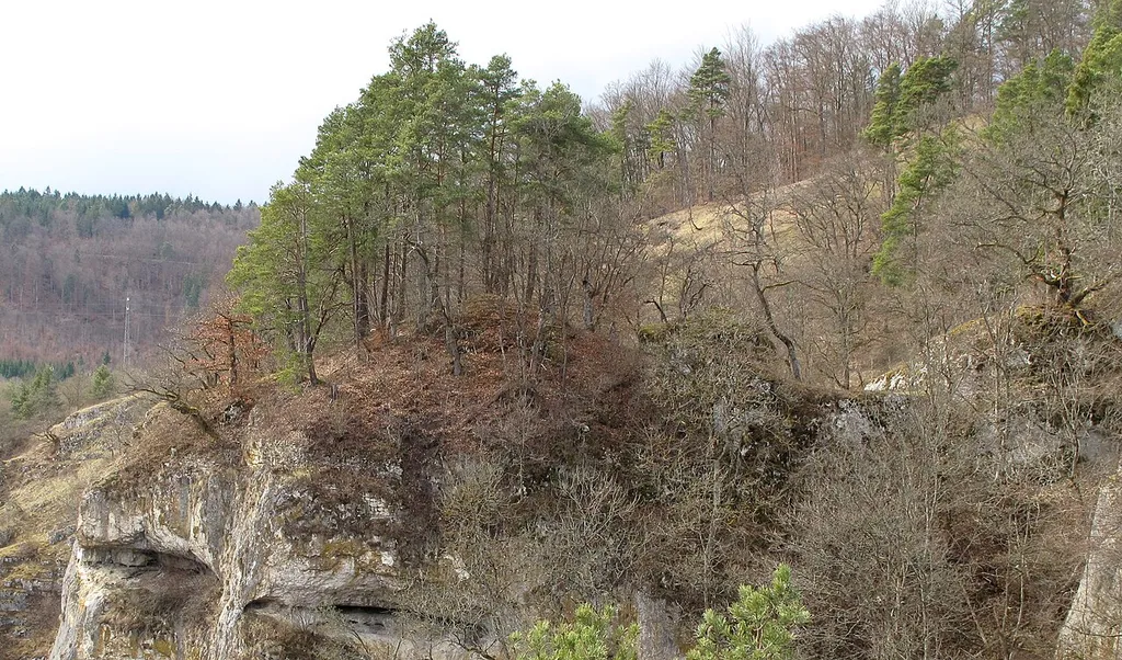 Die Kernburg wenig unterhalb der Hochfläche in Spornlage auf dem ausgesetzten steilen Fels.