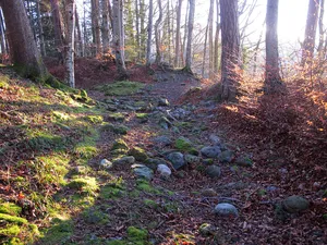 castle ruins Aegerten