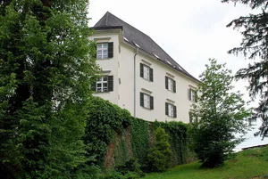 Schloss Burgstall Wohngebäude Wies