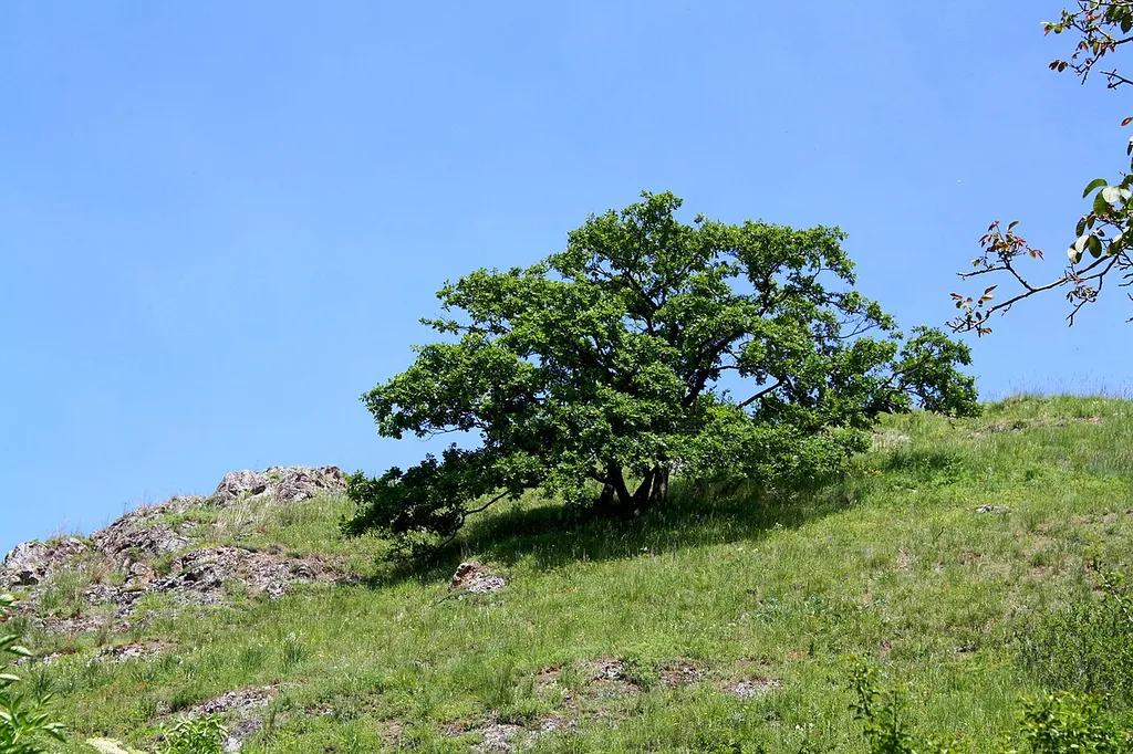 Rhenish-Hessian Switzerland