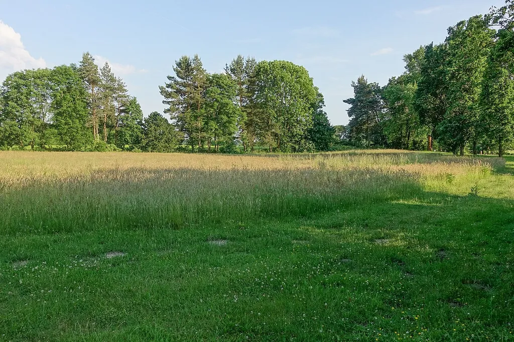 Das Gras zeigt die Innenfläche der Lüningsburg