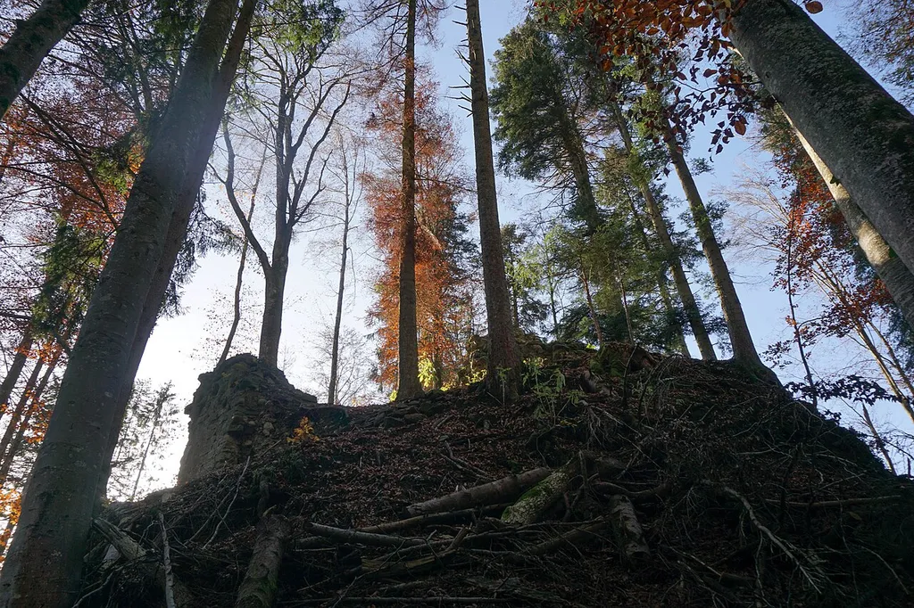 Vom nördlichen Burggraben zum Turm