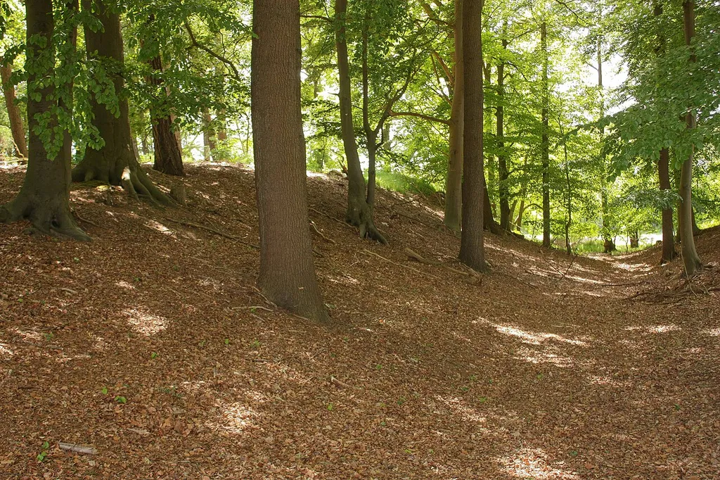 Der Hauptburgwall der Aseburg mit dem Graben zur Vorburg