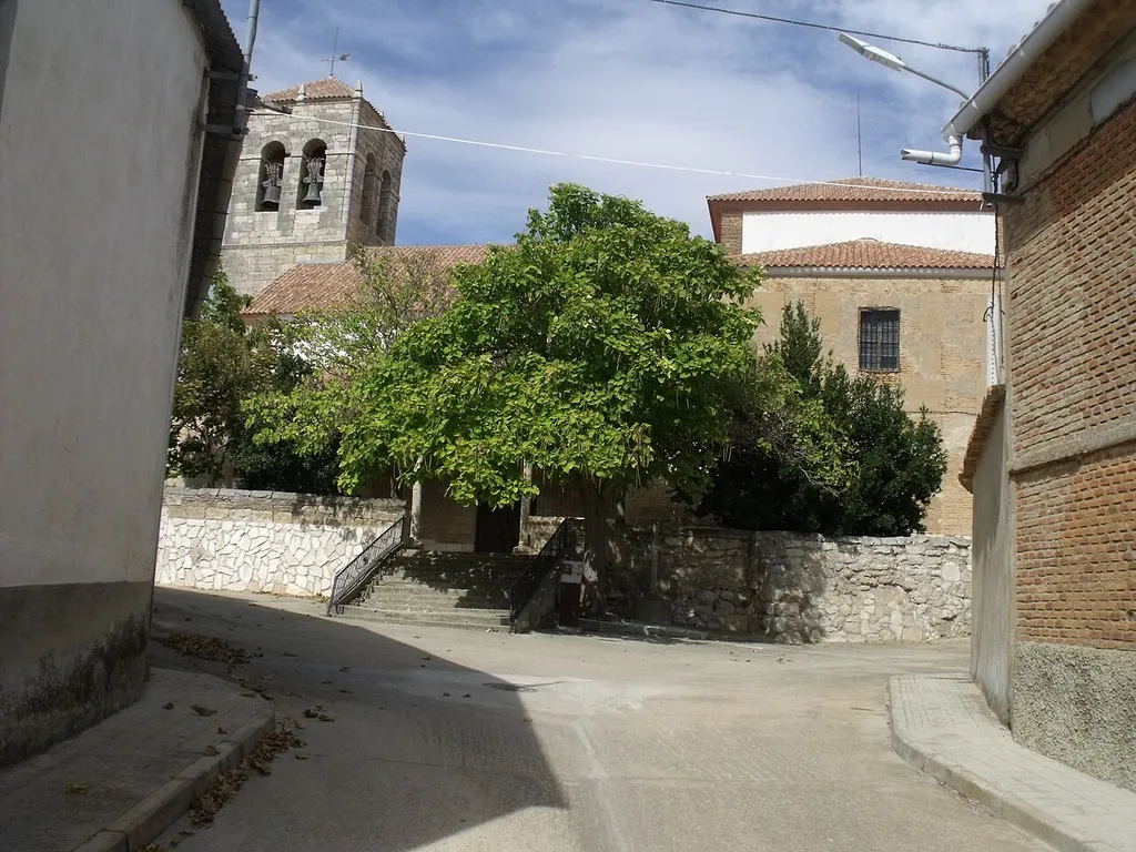 Bustillo del Oro