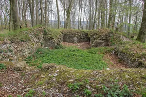 Burg Stahelsberg