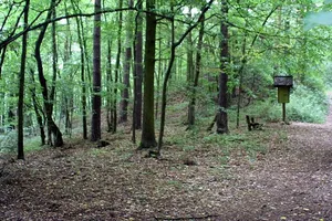 Burgwall Waldsieversdorf