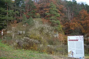 Burgstall Stifterfelsen