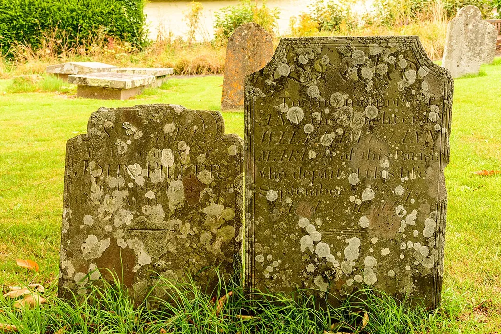 Drewsteignton churchyard, Devon