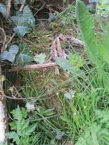 Milepost, S of Wem by railway bridge