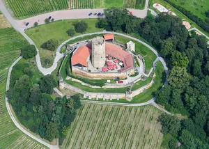 Steinsberg Castle