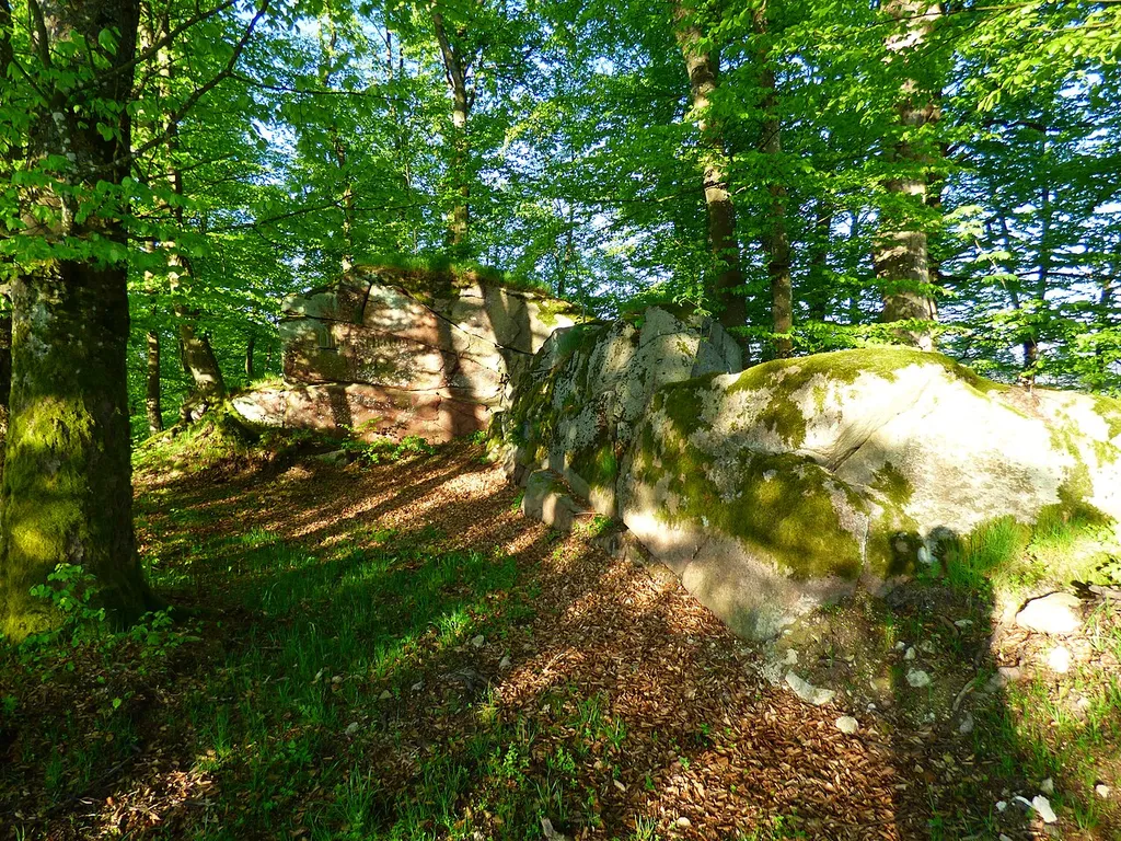 Burg Sattelpeilnstein