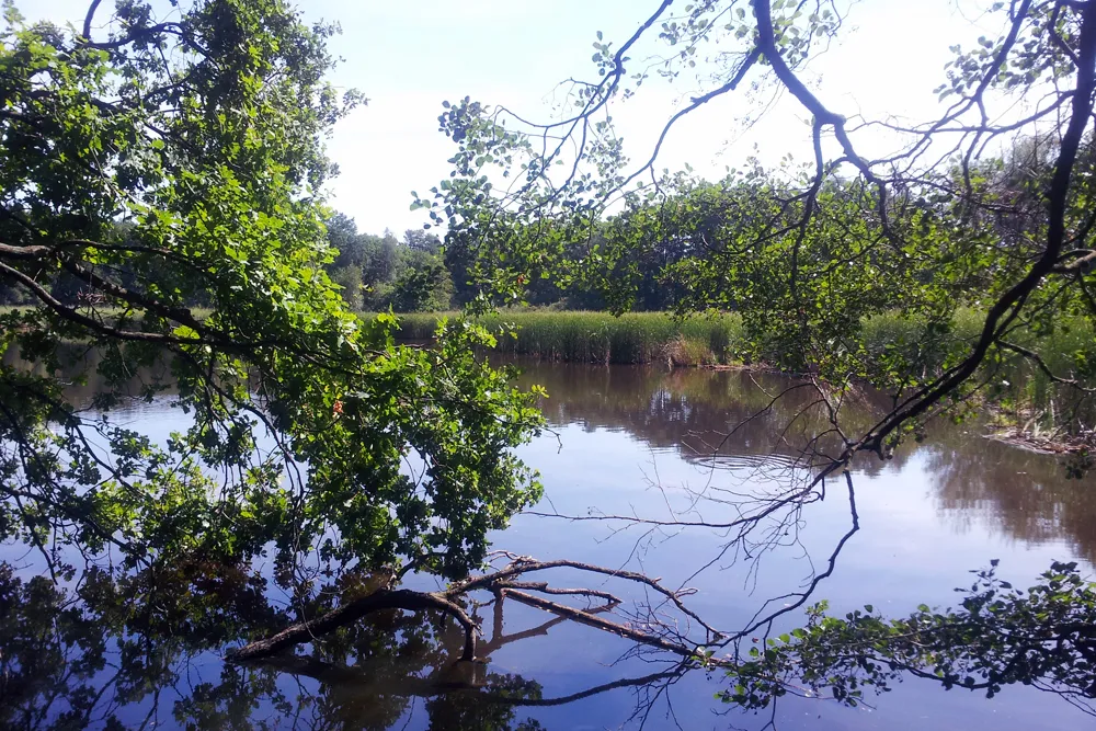 Fünfhufenteich