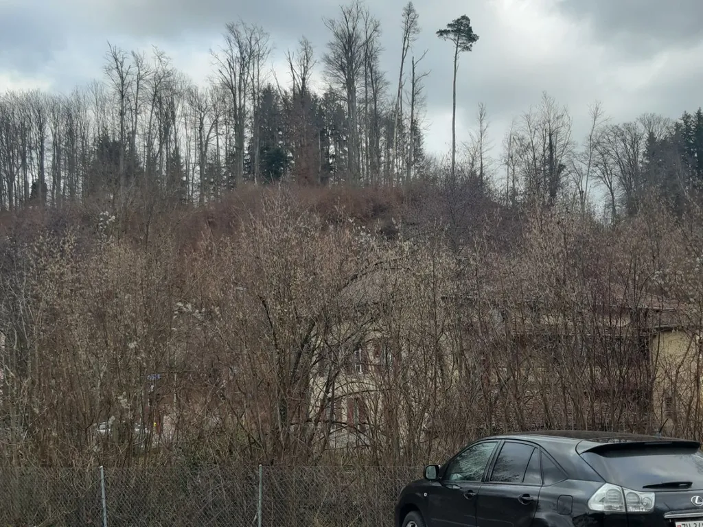 Burgstelle Aathalrain vom Parkplatz Aathal West her gesehen