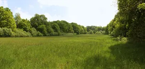 Düllhamm