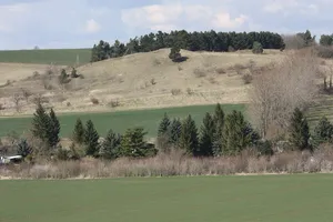 Schwermetallrasen bei Hornburg