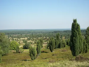 Lüneburg Heath Nature Park