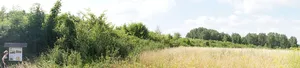 Burgwall Lossow