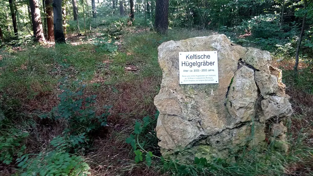 Grabhügelgruppe Dienstadt