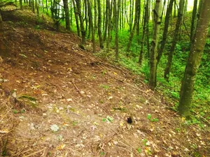 Burgstall Antiesenberg