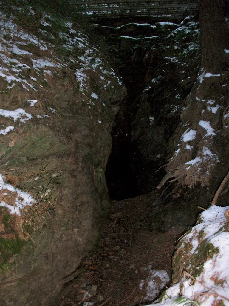 Hartmann-Stolln (Leuchtmooshöhle Burgstädtel)