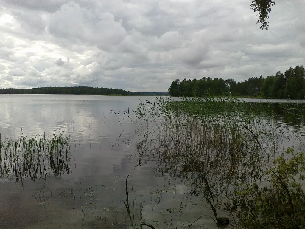 Onkivesi