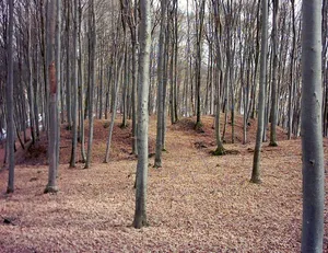 Burgstall Siebnach