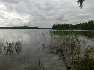 Onkivesi