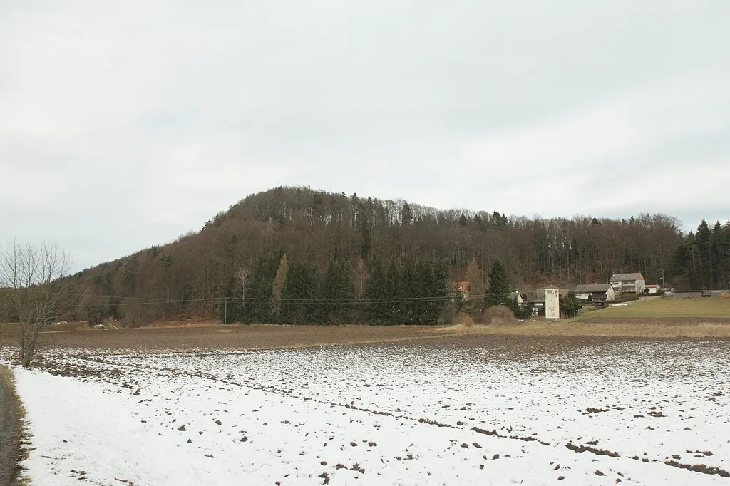 Burgstall Leuenstein - Ansicht des Bleiberges aus östlicher Richtung